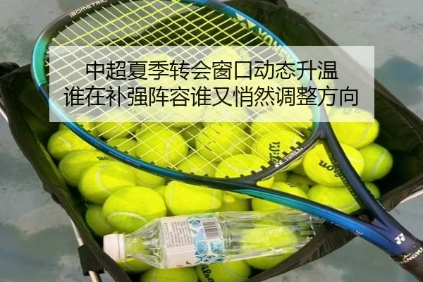 中超夏季转会窗口动态升温 谁在补强阵容谁又悄然调整方向 - DouYu